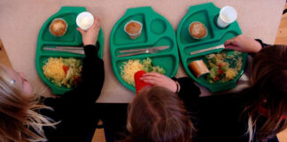 Councils defend school meal record amid reports of national healthy food breaches