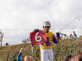 Bishop Auckland driver makes harness racing history