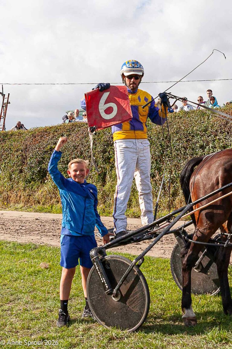 Bishop Auckland driver makes harness racing history