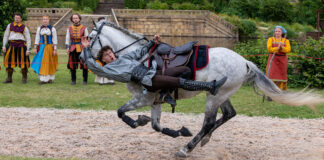 Kynren lands hat-trick of international Excellence Awards nominations