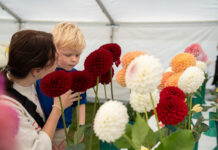 Bishop Auckland Harvest Festival