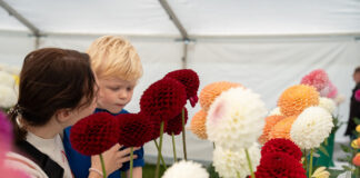Bishop Auckland Harvest Festival