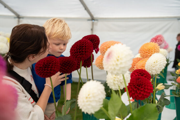 harvest-fest-2025