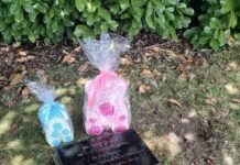 Out of the Shadows: Chilton marks Baby Loss Awareness Week