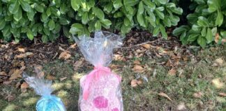 Out of the Shadows: Chilton marks Baby Loss Awareness Week